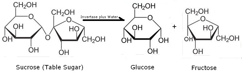 Ilmu Kimia Di Balik Gula Tebu